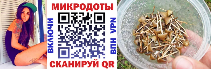 hydra tor как найти закладки Облучье Псилоцибиновые грибы Cubensis
