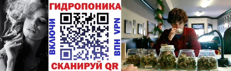 дарнет шоп  Облучье  Каннабис VHQ 